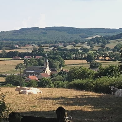 Circuit panoramique