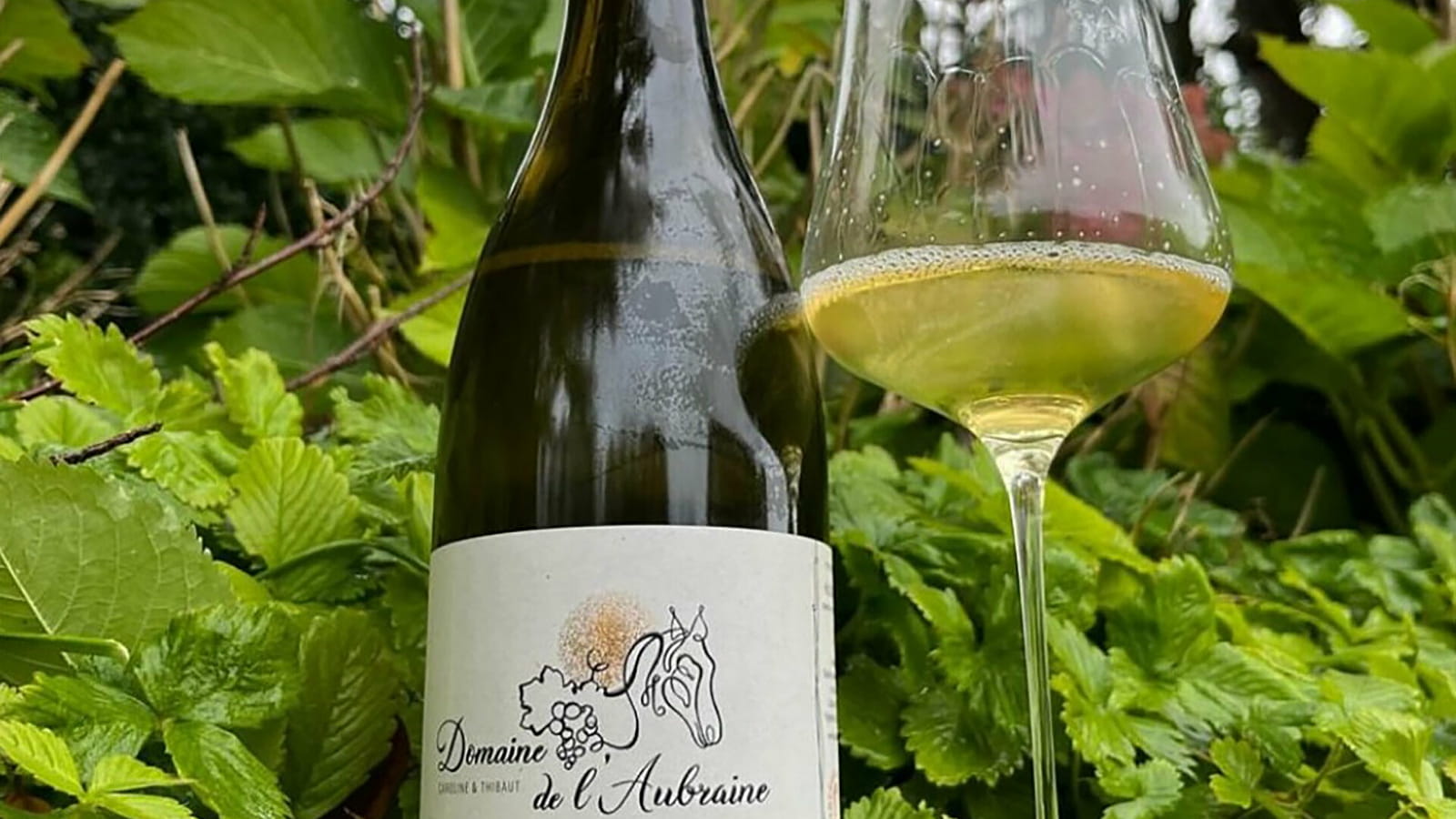 Domaine de L’Aubraine