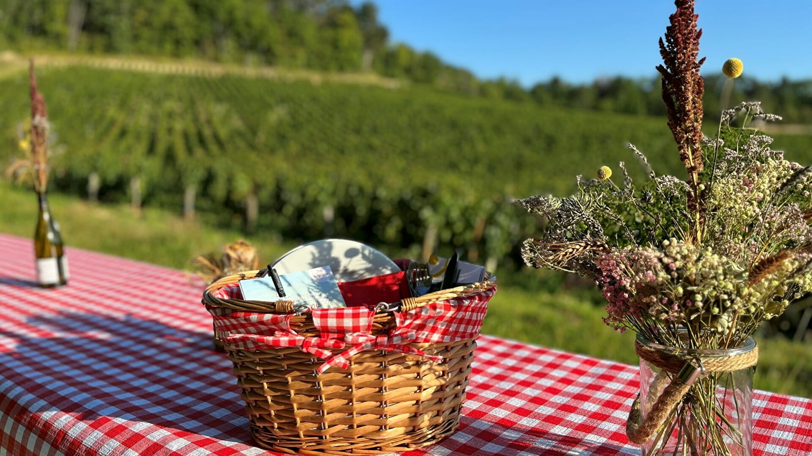 ANNULE : Fantastic Picnic Gastronomique dans les Vignes