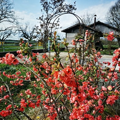 Domaine de l'espérance