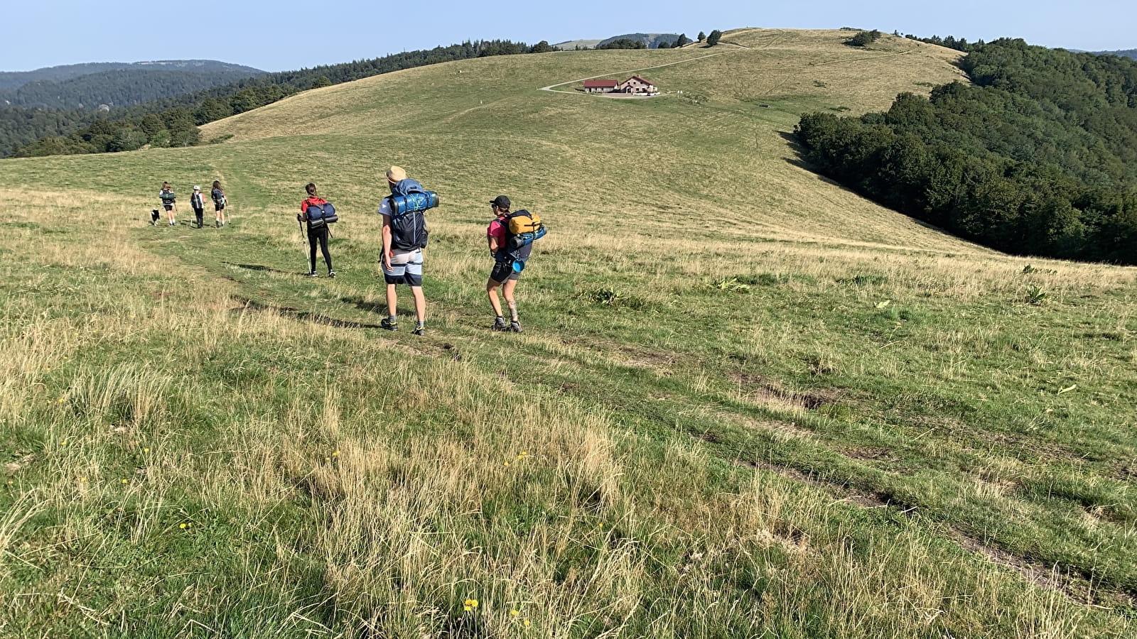 Au coeur des Vosges du sud : les crêtes par le Ballon d'Alsace