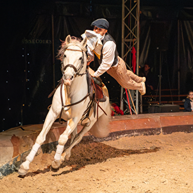 Spectacle Équestre de Noël 