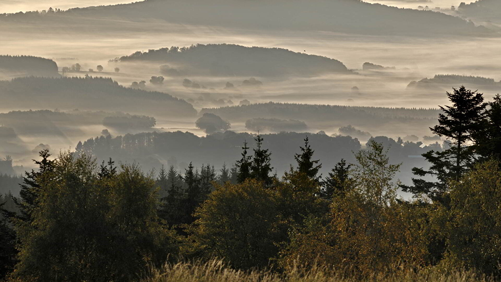 Vers les Bois du Folin