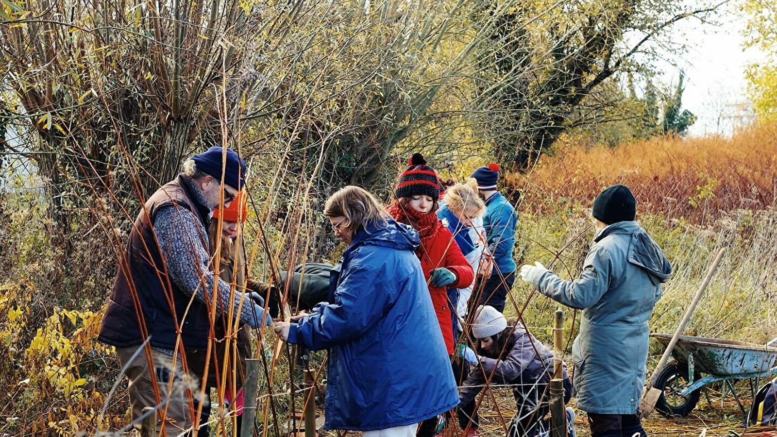 Atelier participatif : plantation d'automne 