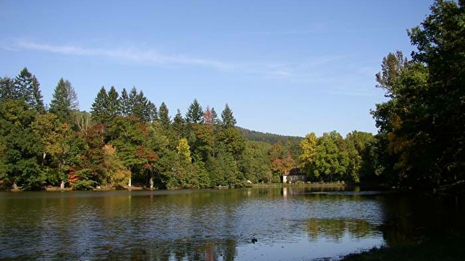 A la découverte de l'étang de l'arboretum de Pézanin