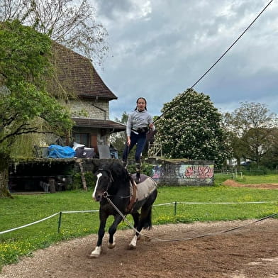 Lucie et les chevaux