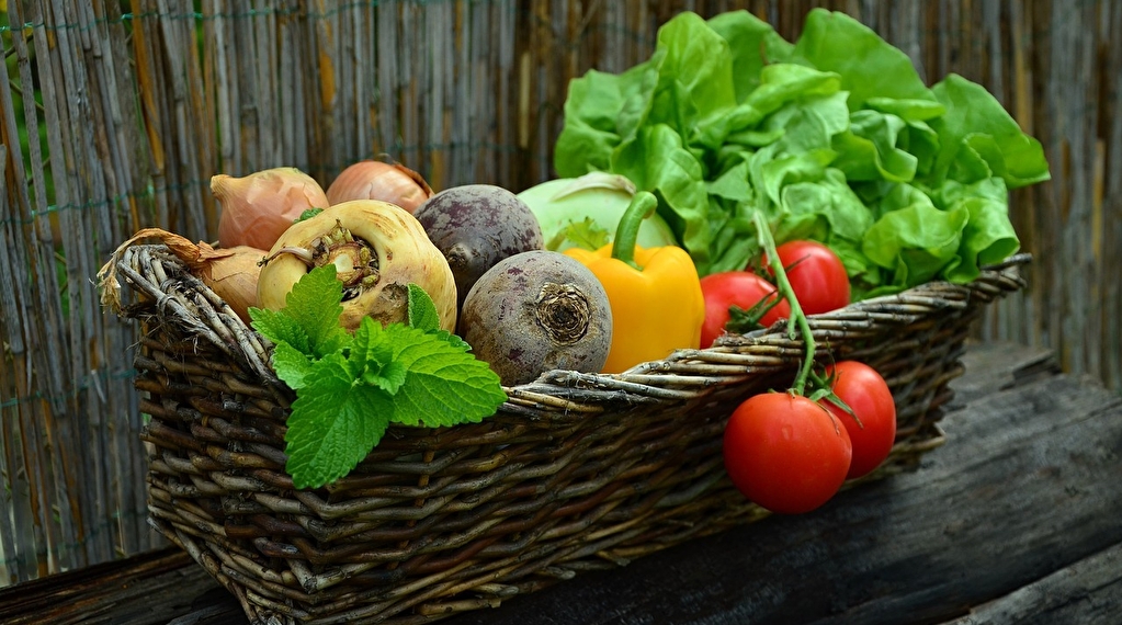 Portes ouvertes du Potager de Séguret Du 19 au 20 oct 2024