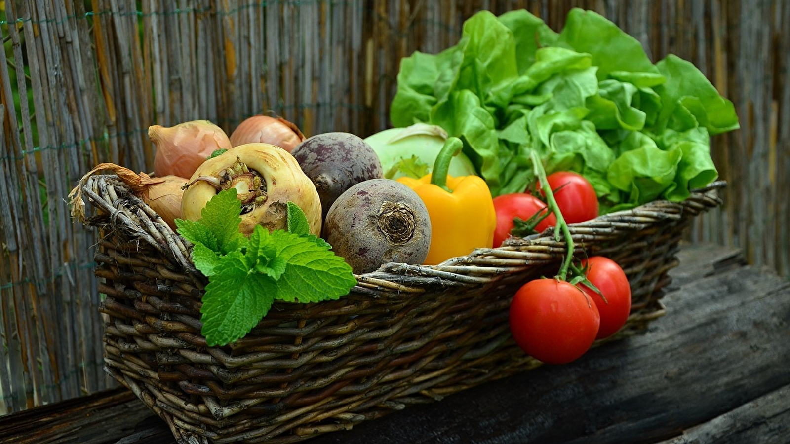 Portes ouvertes du Potager de Séguret