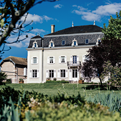 Château du Moulin-à-Vent, le terroir à l'honneur : découvrez notre vin du mois !