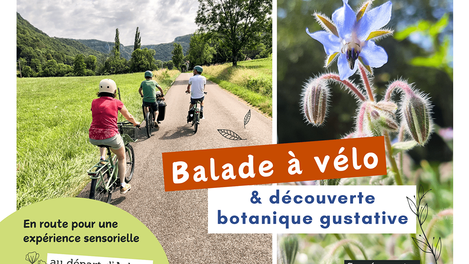 Balade à vélo & découverte botanique gustative