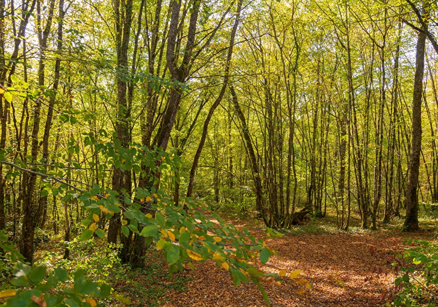 Les Parcs Naturels Bourgogne Franche Comté