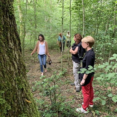 Sortie nature  Arbres et humains : vivants et reliés - 29/09/24