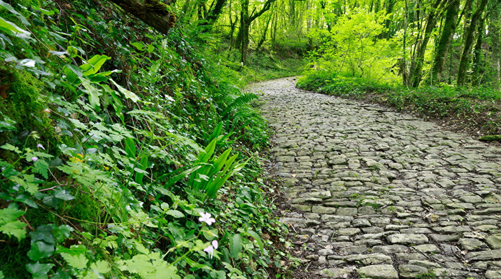 Découverte du village de Montagna-le-Reconduit Du 21 au 22 sept 2024