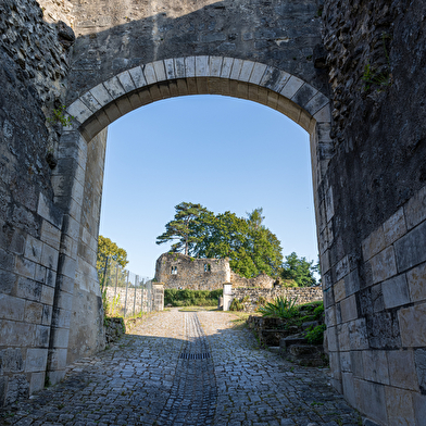 MOULINS-ENGILBERT