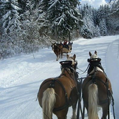 Vacances en famille au pays des rennes