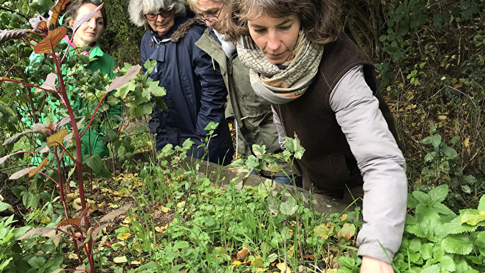 Stage d’initiation à la permaculture