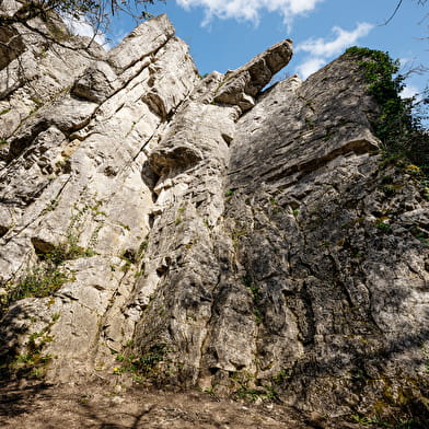 Site d'escalade - Saint-Denis-de-Vaux