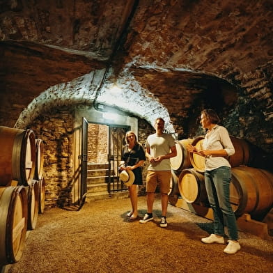 Château Philippe le Hardi - Visite 'Au coeur du fief de Santenay'