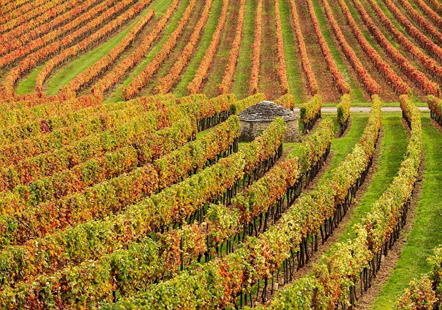 Culture Et Patrimoine | Bourgogne-Franche-Comté