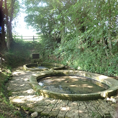 Fontaine des ormois