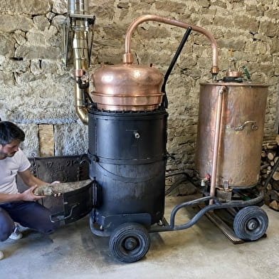 Visite de la distillerie