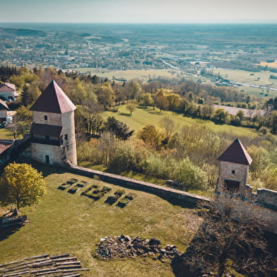 ANNULÉ - Fantastic Picnic - Château de Chevreaux