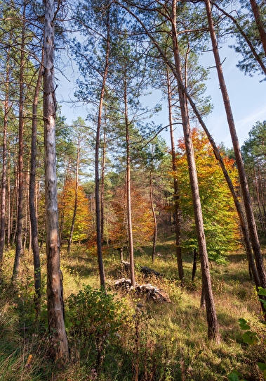 Les parcs naturels : je les aime, je les protège et je les