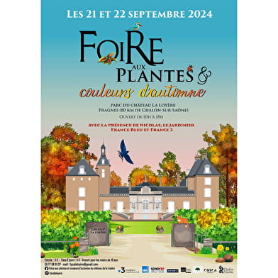 Foire aux plantes rares et couleurs d'automne