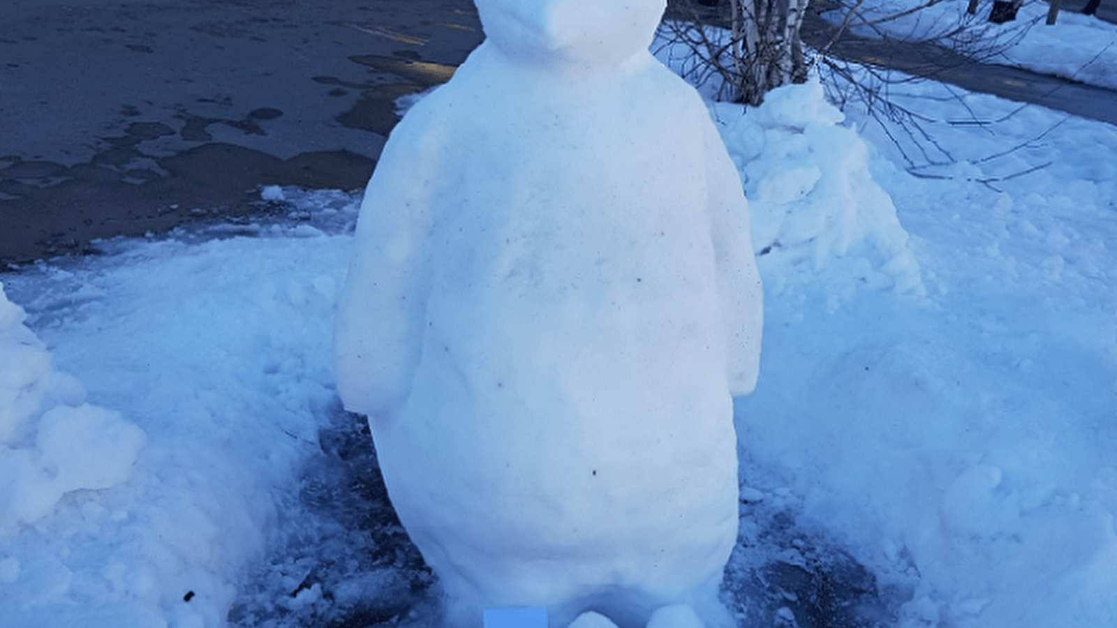 Sculpture sur neige