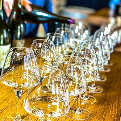 Visite guidée et dégustation de vins de Vézelay