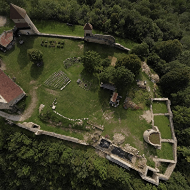 Visites guidées  - portes ouvertes au Château de Chevreaux