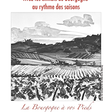 Balade viticole à Meursault : une question de taille, regards sur une technique viticole