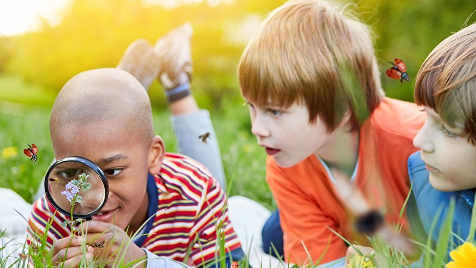 Les Aventuriers du Milieu de Loire - Journée nature pour les 6-12 ans spéciale 'La Nature à la loupe'