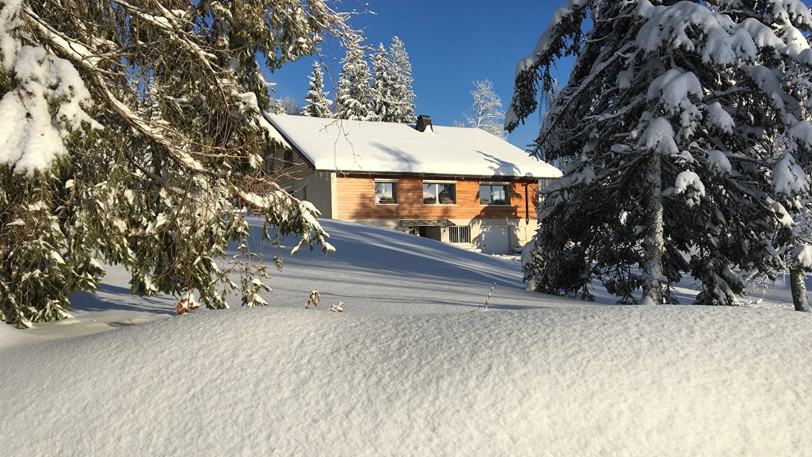 Le Chalet des Noisettes, appt le Noirmont