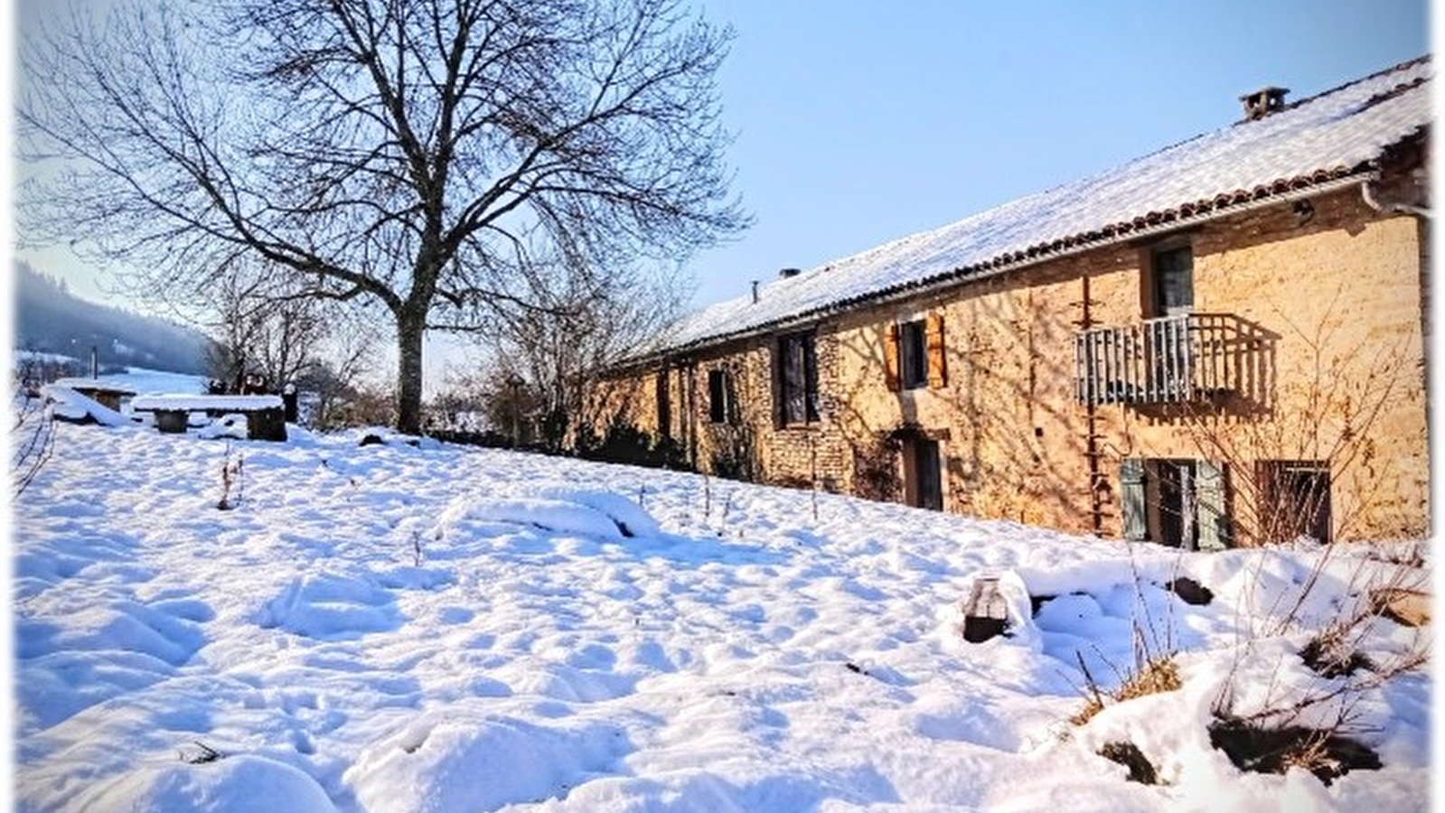 Gîte de l'Arbre-Lune