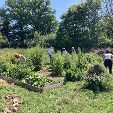 Stage d’initiation à la permaculture