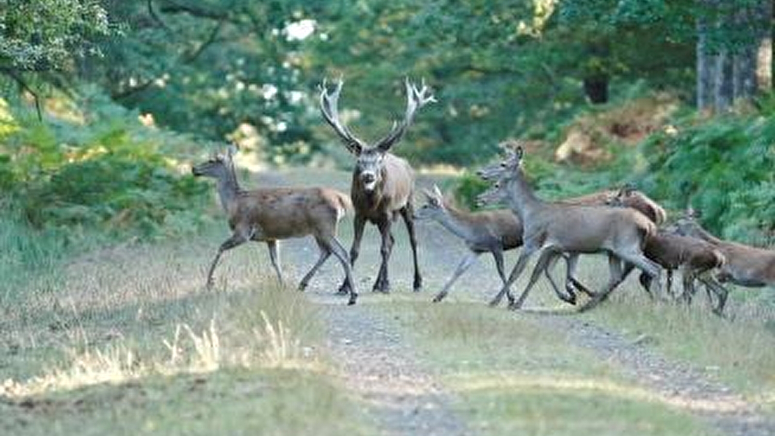 Parc naturel de Boutissaint