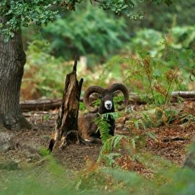 Parc naturel de Boutissaint