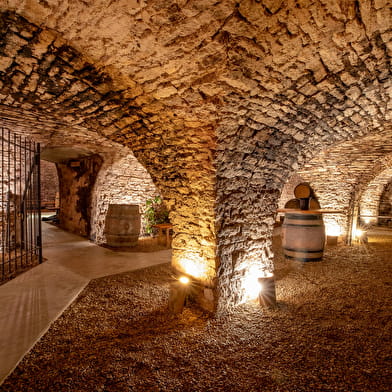 A la découverte de la Bourgogne: dégustation dans des caveaux du XVIIème