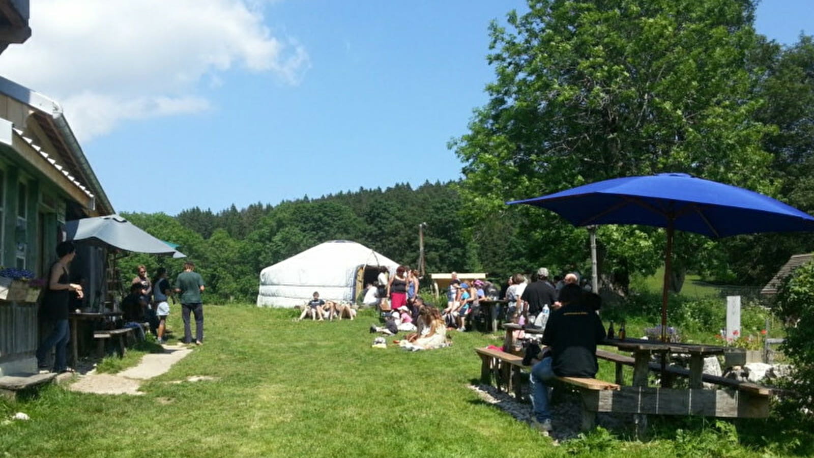 Visite d'alpage et goûter au chalet