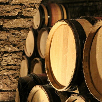 Domaine Besancenot - Visite Dégustation TRIBU