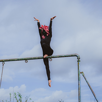 LA TRANSVERSE FAIT SON CIRQUE !