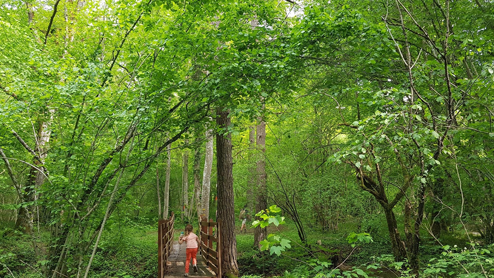 Sentier des Coteaux Bougeon