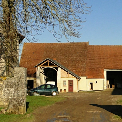 Ferme du Grand Ouche , production de porc