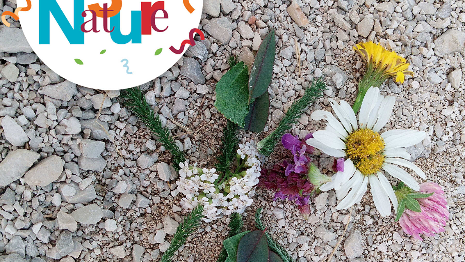 ATELIER 123 NATURE : Land art en forêt