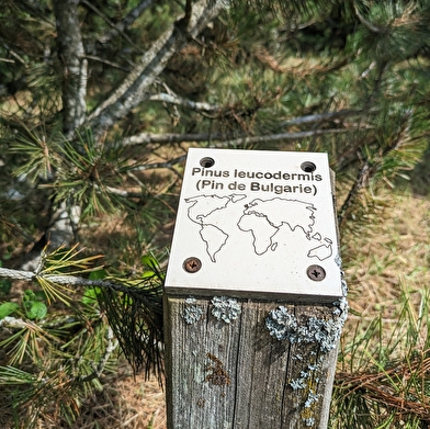 Le Sentier Découverte de Baume les Dames