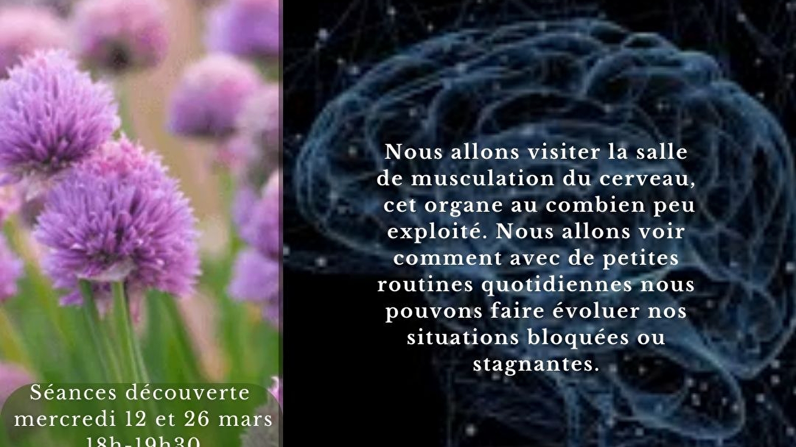 Muscler son cerveau