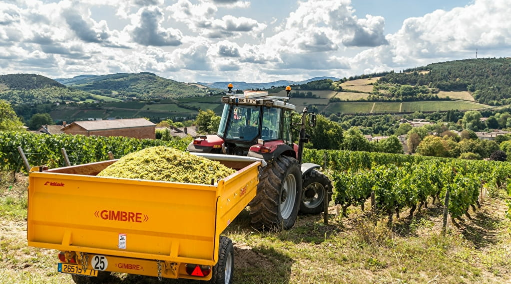 Immersion au cœur des vendanges Du 20 au 28 sept 2024