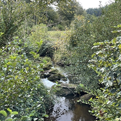 Au loin, les forêts