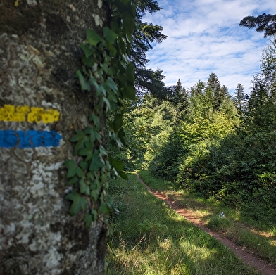 Le chemin de la République